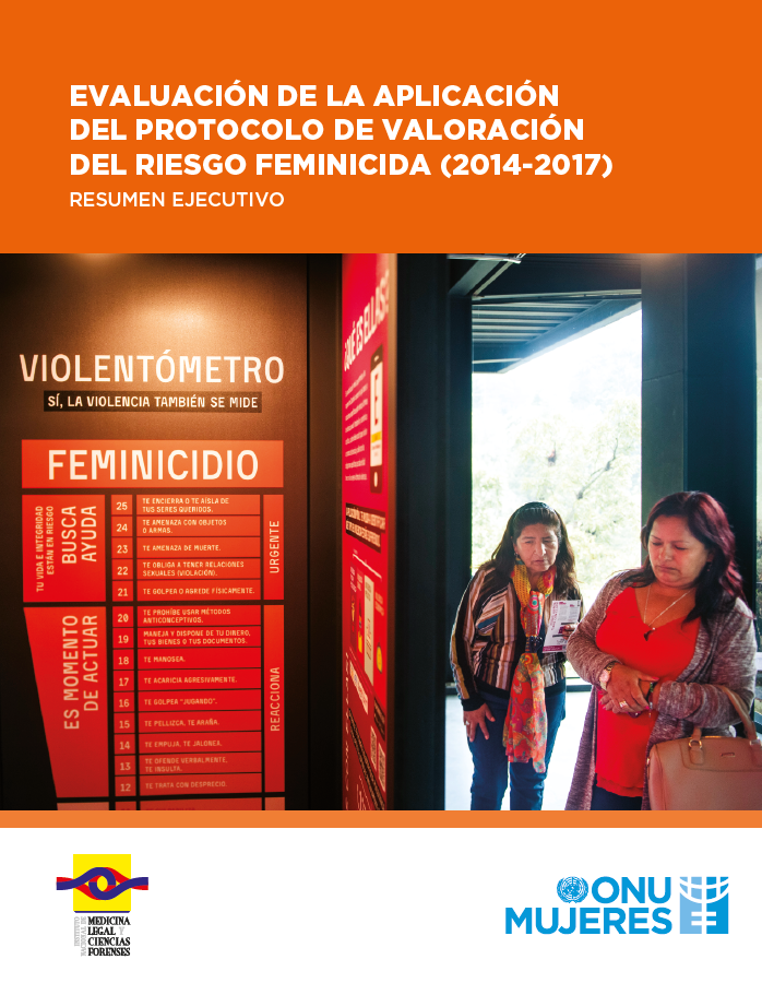 Evaluación De La Aplicación Del Protocolo De Valoración Del Riesgo Feminicida Un Women Colombia 1488